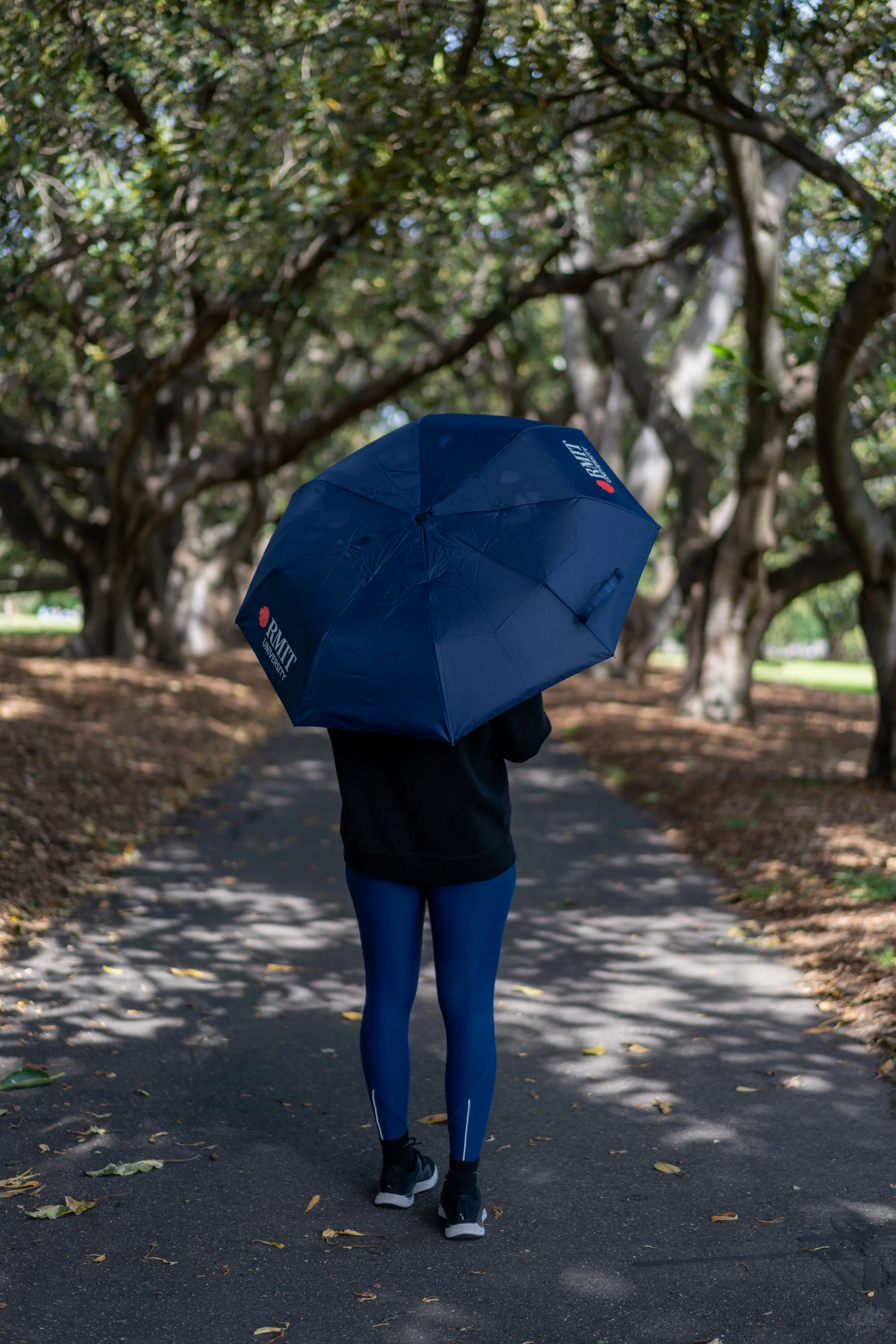 Compact Umbrella