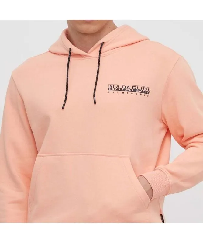 napapijri B Boyd Men's Hoodie in pink salmon np0a4hp2p1i1, white whisper np0a4hp2n1a1 at kular fashion