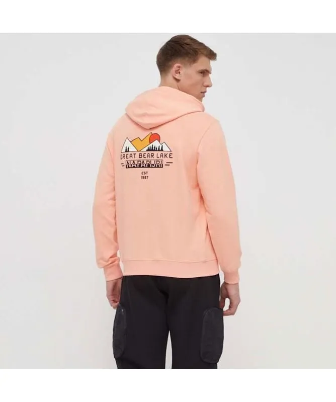 napapijri B Boyd Men's Hoodie in pink salmon np0a4hp2p1i1, white whisper np0a4hp2n1a1 at kular fashion