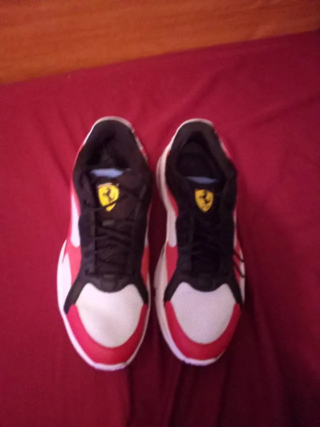 Puma epsilon ferrari