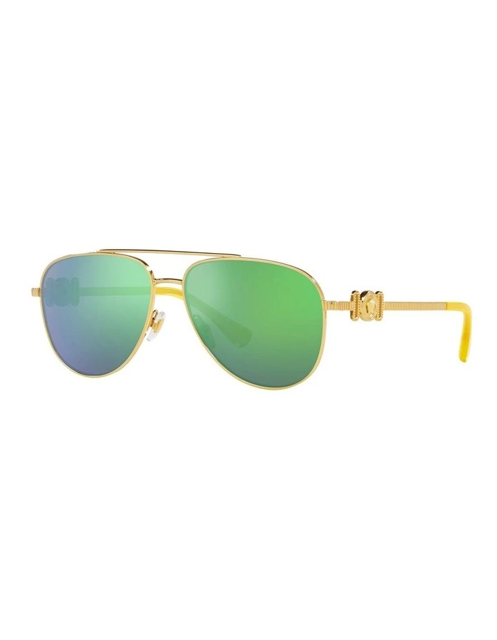 VK2002 Sunglasses in Gold