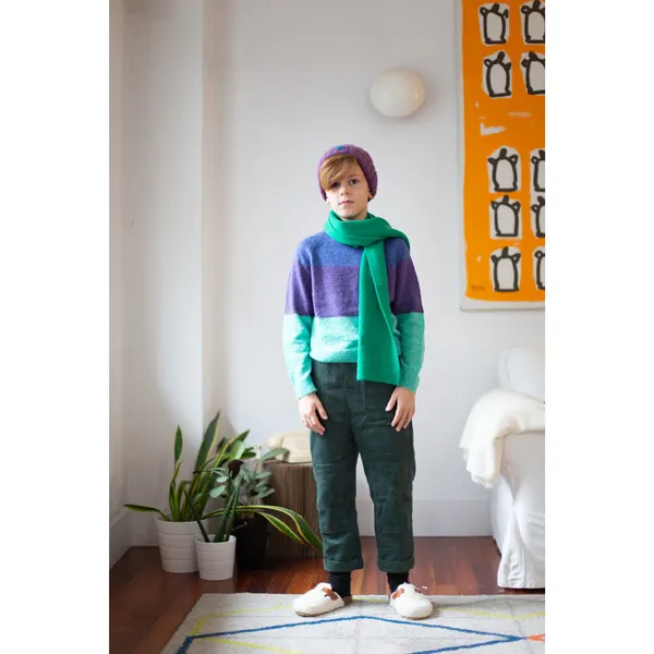 Wander & Wonder Tri-Color Ribbed Cuff & Hem Pullover, Periwinkle Combo